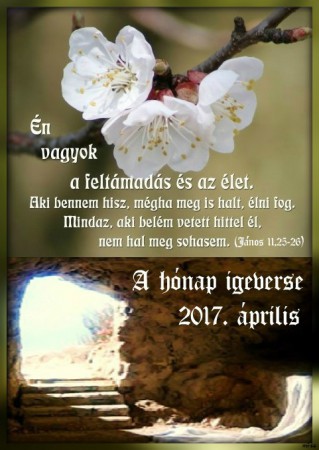 2017 - április hónap igeverse